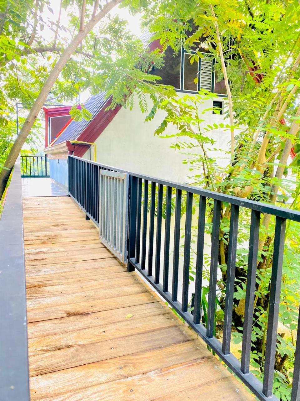 Cloudy Hill Cottage เอลลา ภายนอก รูปภาพ