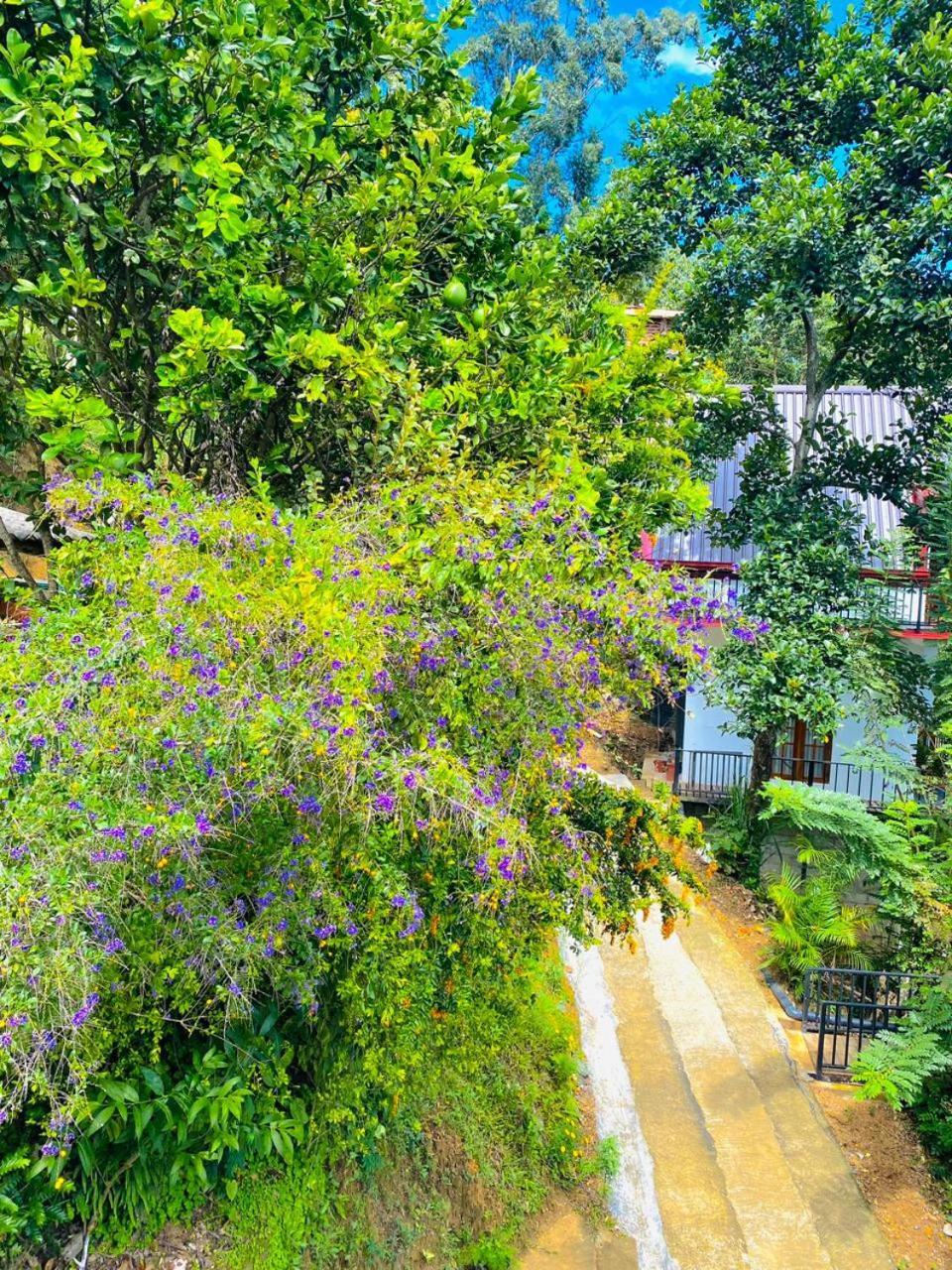 Cloudy Hill Cottage เอลลา ภายนอก รูปภาพ