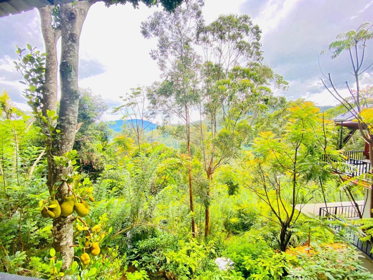 Cloudy Hill Cottage เอลลา ภายนอก รูปภาพ